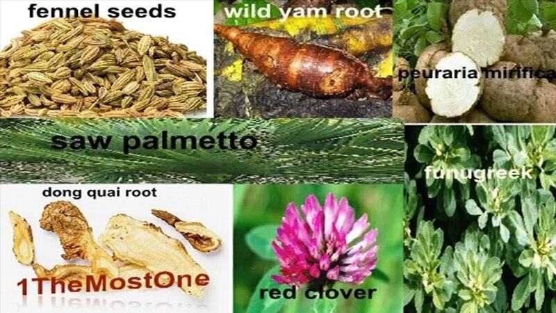 Natural herbs used in big buttocks enhancement oil including fennel seeds, wild yam root, pueraria mirifica, saw palmetto, dong quai root, red clover, and fenugreek