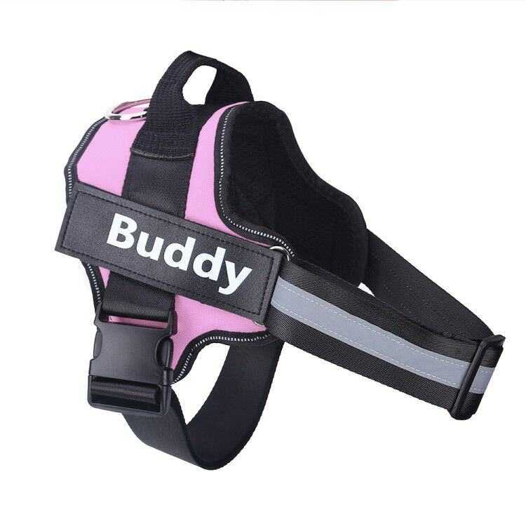 Pink and black dog safe custom chest collar harness with adjustable straps and reflective strip labeled "Buddy"