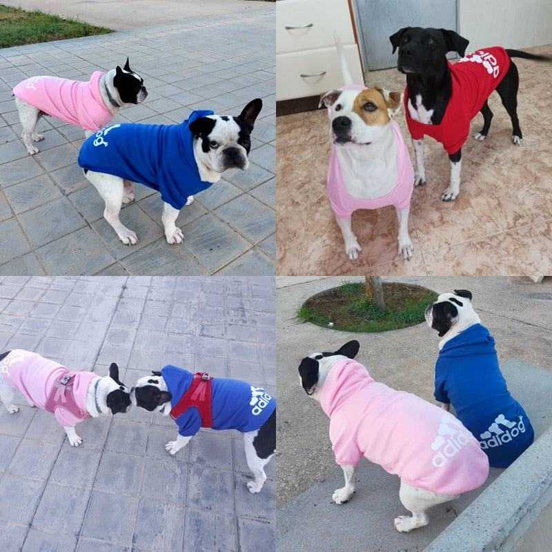 Dogs wearing pink and blue warm sweatshirt jackets outdoors, showcasing the Dog Warm Sweatshirt Jacket design