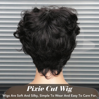Short Human Hair Wigs for Black Women Pixie Cut Wig Human Hair Wig Glueless Wigs for Women Short Pixie Straight Human Hair Wigs