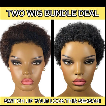 Human Hair Afro Short Pixie Wigs