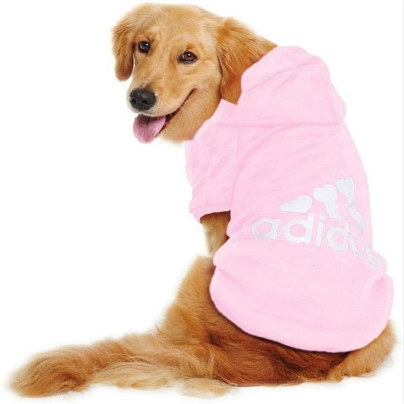 Golden retriever wearing pink Adidas dog warm sweatshirt jacket